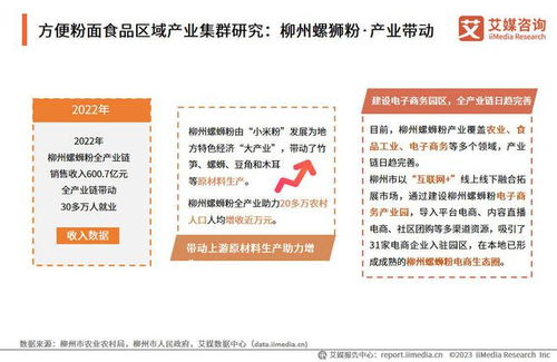艾媒咨询 2023 2024年中国方便粉面食品行业发展研究报告